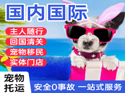 长白山机场邮寄国际宠物托运 【国